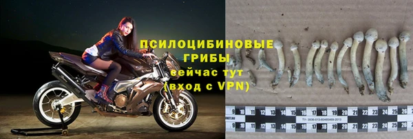 spice Абинск