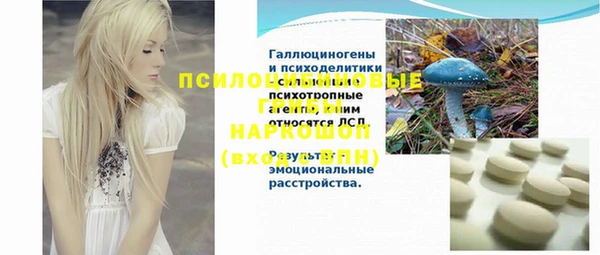прущие крисы Алексин