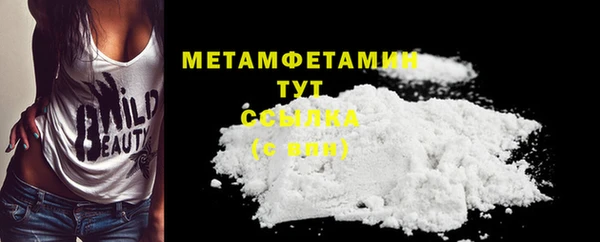 шишки Заволжье