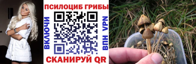 Псилоцибиновые грибы GOLDEN TEACHER  Карасук 