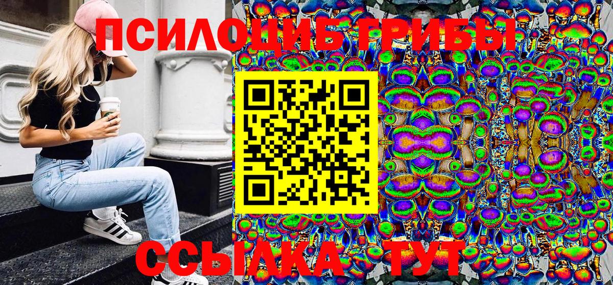 Карасук  Псилоцибиновые грибы мицелий  Псилоцибиновые грибы Magic Shrooms  Вход с VPN 