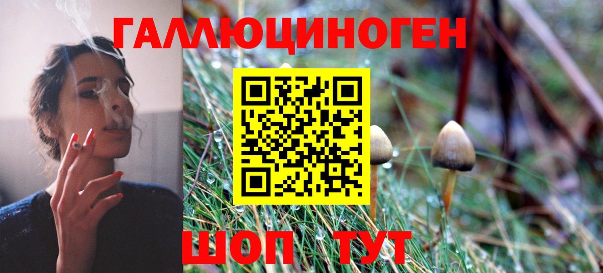 Псилоцибиновые грибы ЛСД Карасук